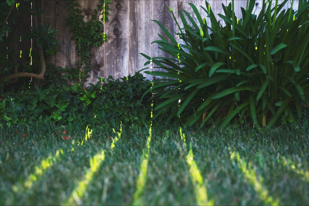 Trim garden services in Bristol that get results Trim garden services in Bristol that get results