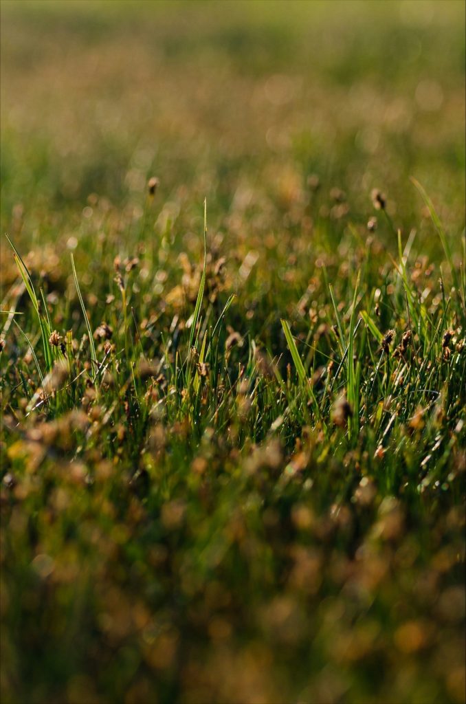 Transform your outdoor space with trusted gardening services Transform your outdoor space with trusted gardening services