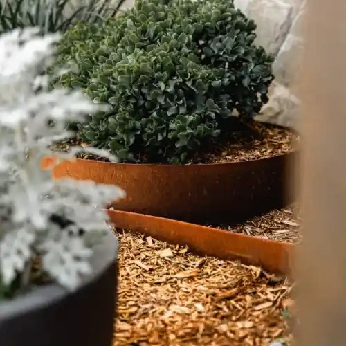 A Practical Guide to Weathered Garden Edges A Practical Guide to Weathered Garden Edges