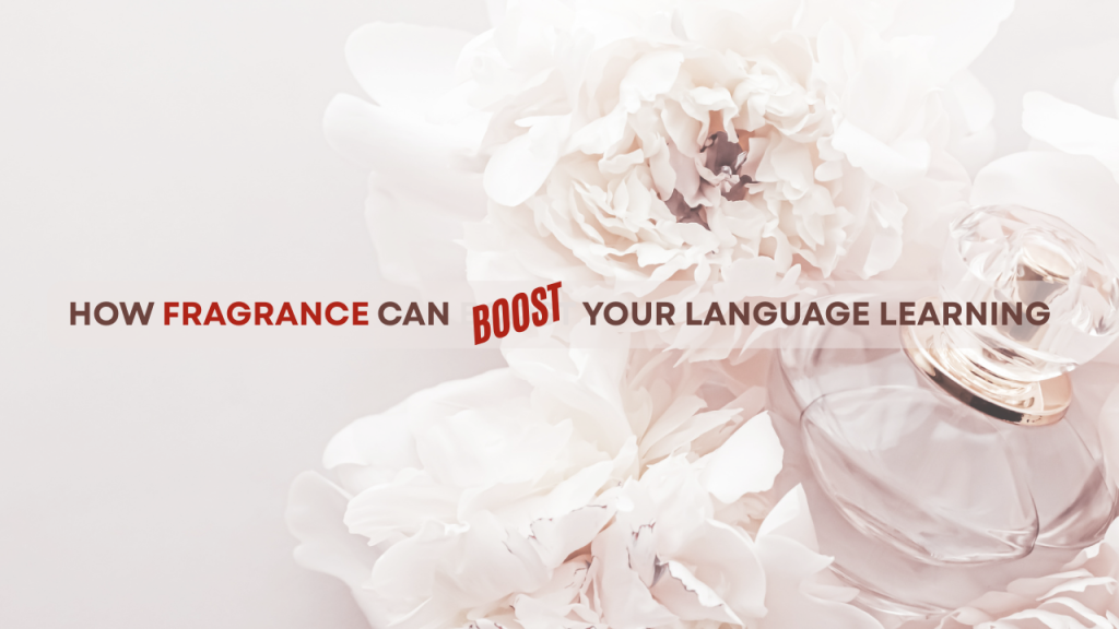 Begin with a French Class that really works for you