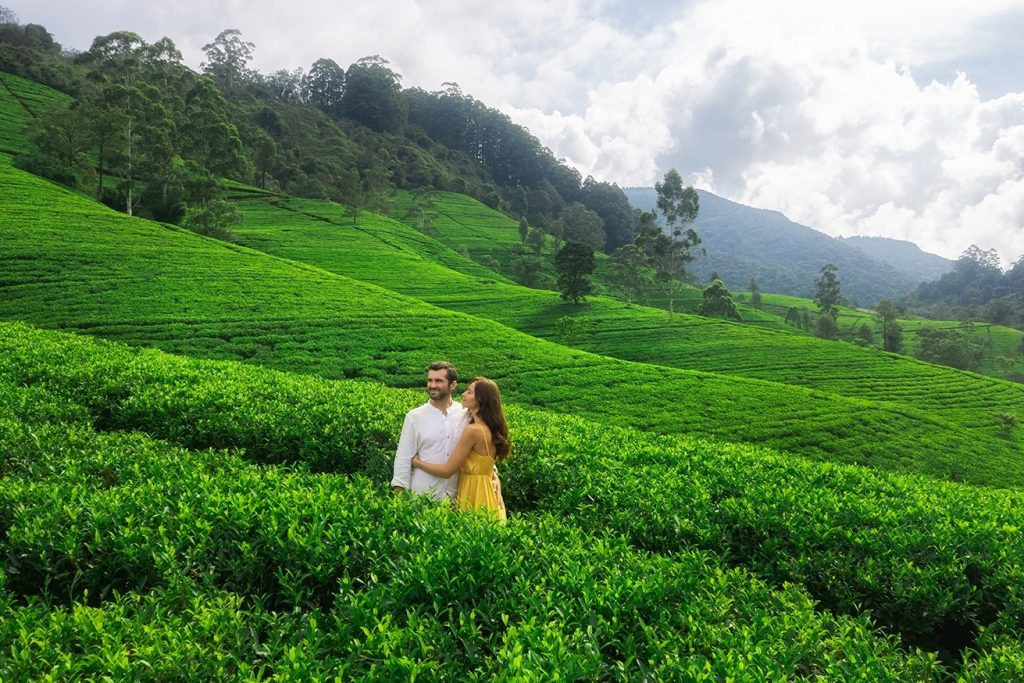 Sri Lanka Cultural Heritage Package: A Rich East to Central Experience