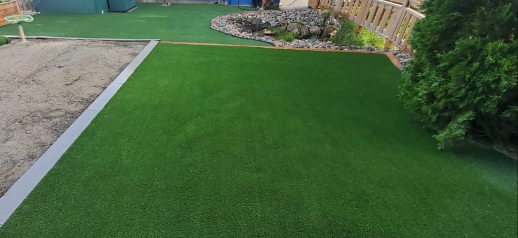 Your Guide to Eco-Friendly Lawns in Kitchener