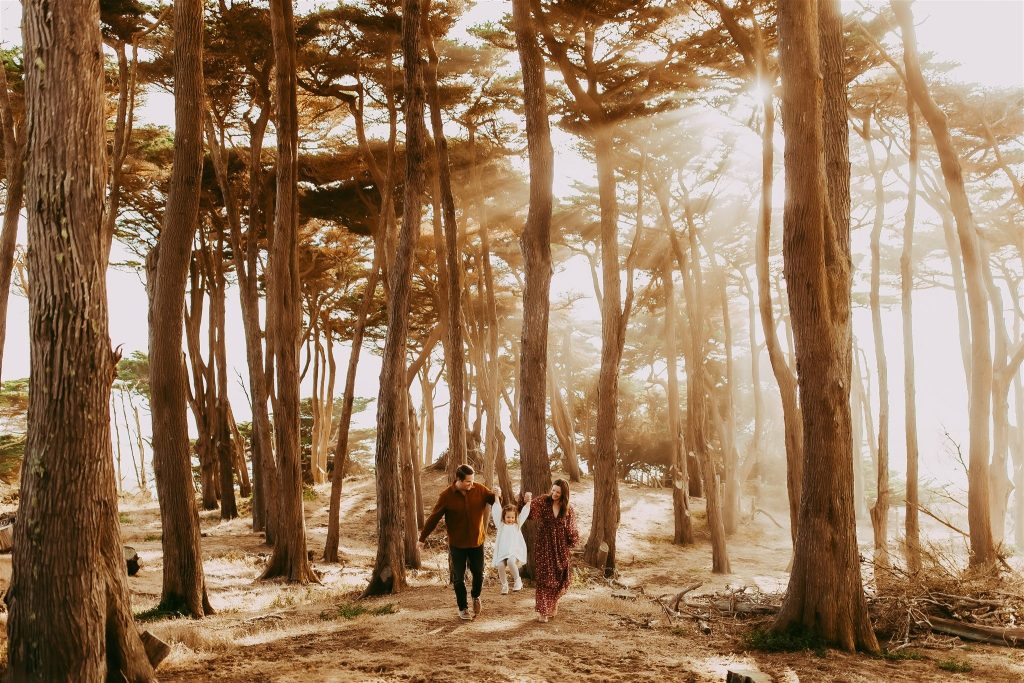 Capturing Your Moments with a Creative Bay Area Photographer