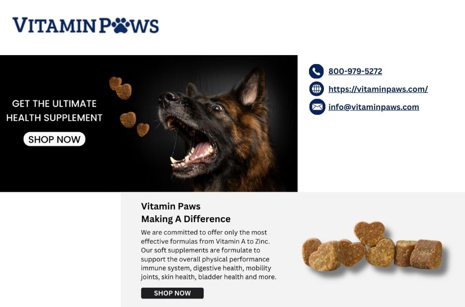 Boost Your Dog’s Digestion: Practical Tips for a Healthier Gut Boost Your Dog’s Digestion: Practical Tips for a Healthier Gut