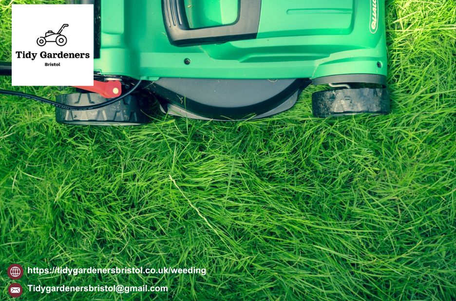 Professional weed control and garden bed maintenance Professional weed control and garden bed maintenance