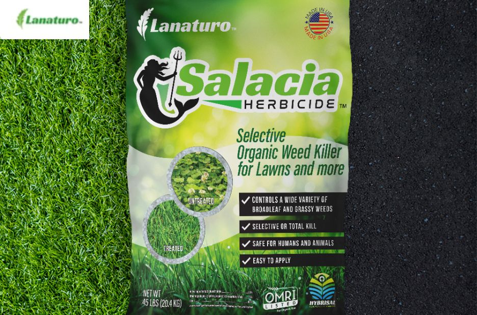 How to Suppress Weeds Naturally: A Gentle Powder Approach How to Suppress Weeds Naturally: A Gentle Powder Approach