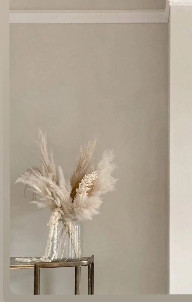 Elevate Interiors with Artisan Plaster Finishes in LA