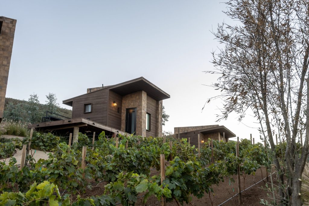Explore Charming Valle de Guadalupe Stays: Hidden Gems and Elegant Escapes Explore Charming Valle de Guadalupe Stays: Hidden Gems and Elegant Escapes