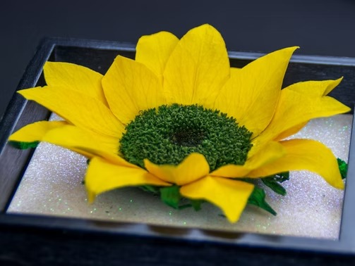 Lonely Hearts: Everlasting Roses with a Romantic Shape Lonely Hearts: Everlasting Roses with a Romantic Shape