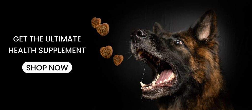 Natural calming treats for anxious dogs: a supportive guide