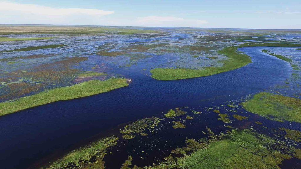 Angling in Argentina’s Blue City: Top Drops for River and Coastal Fishing