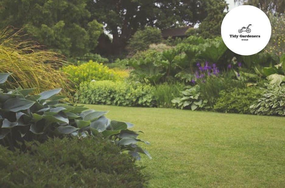 Practical garden care and upkeep in Bristol Practical garden care and upkeep in Bristol