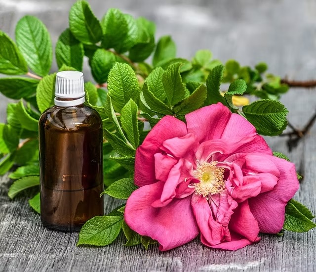 A Thoughtful Perfume Collection for Loved Ones A Thoughtful Perfume Collection for Loved Ones