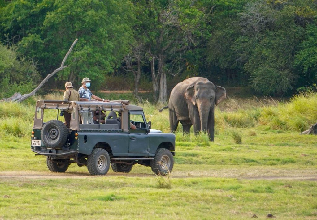 Unforgettable Sri Lanka: Tailored Tour Packages for Every Traveller