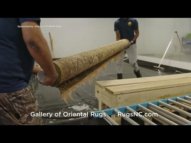 Explore Top Rug Stores Around Oleander Drive for Quality and Style Explore Top Rug Stores Around Oleander Drive for Quality and Style
