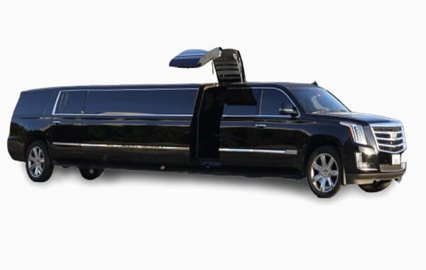 Luxurious transport for your special day Luxurious transport for your special day