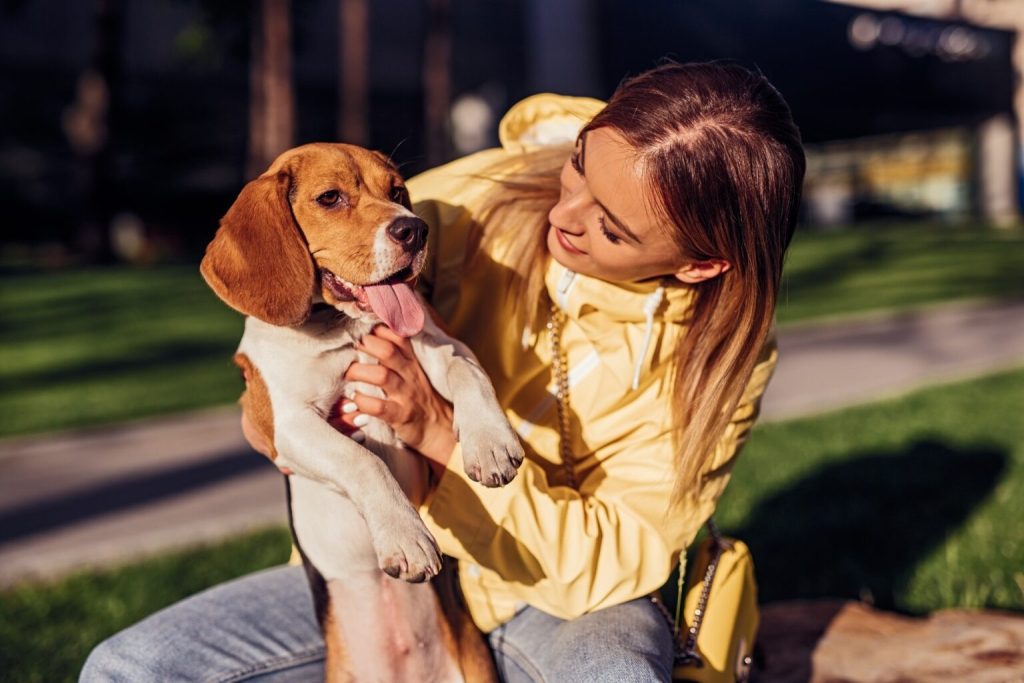 A Practical Guide to a Calm Goodbye for Your Pet
