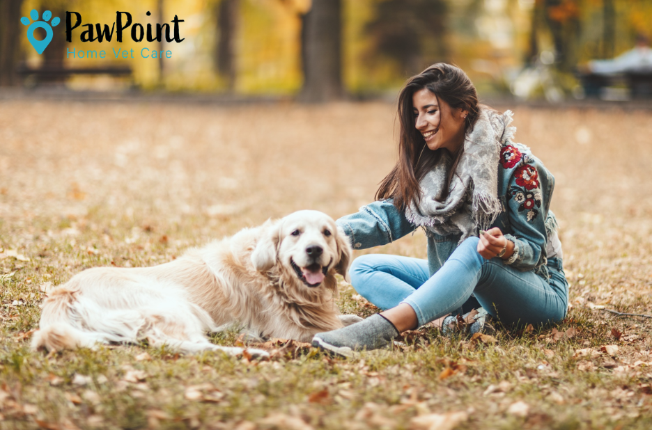 Compassionate in-home end-of-life care for pets in Calgary Compassionate in-home end-of-life care for pets in Calgary