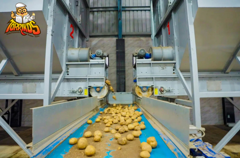How Dried Potato Flakes Transform Everyday Cooking How Dried Potato Flakes Transform Everyday Cooking
