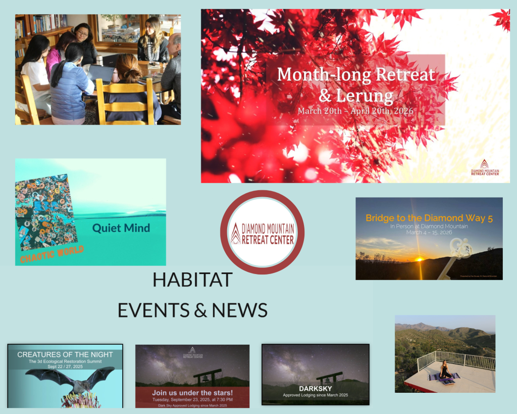 Mindful Getaways: Quiet Lands for Inner Calm