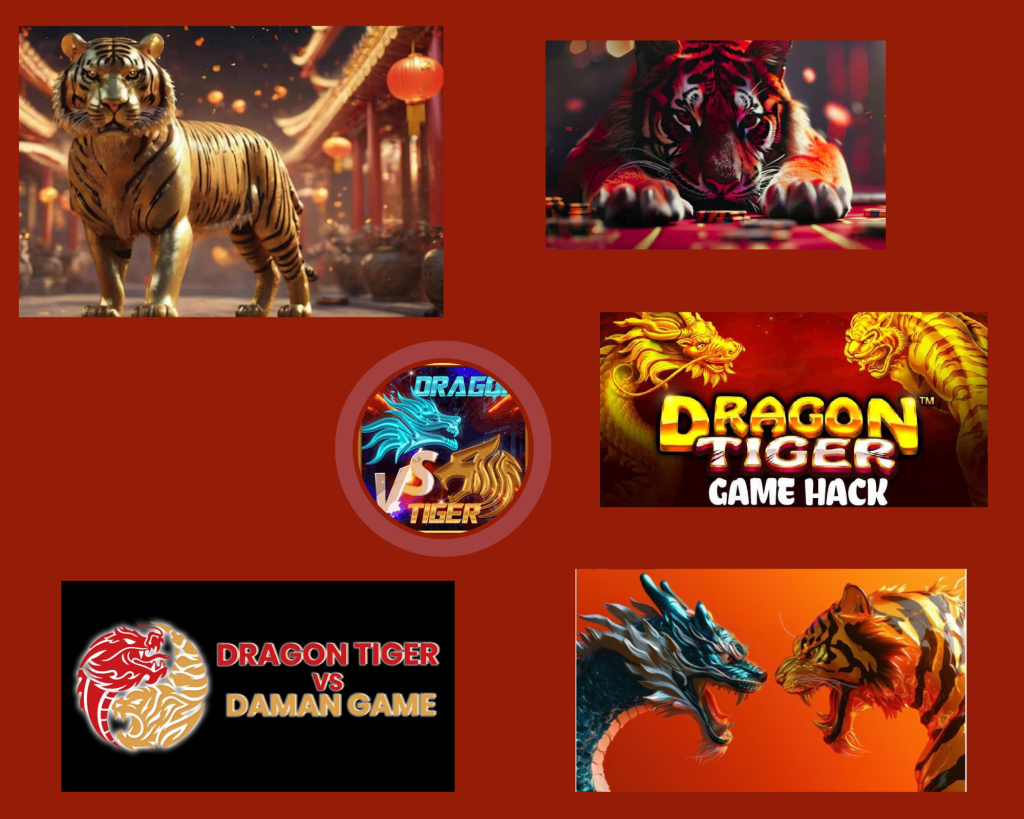 Smart ways to begin Dragon Tiger: practical starter guidance