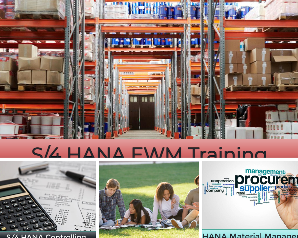 Elevate Your SAP Skills with Expert Certification and Training