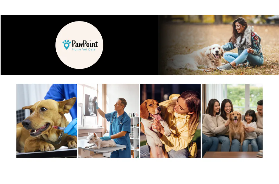 Compassionate Dog Euthanasia Calgary Services for a Peaceful Goodbye at Home Compassionate Dog Euthanasia Calgary Services for a Peaceful Goodbye at Home