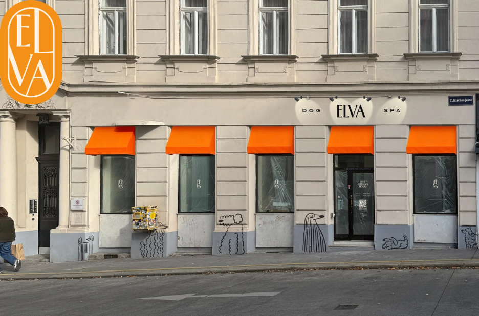 Hunde Massage Wien – Professionelle Entspannung und Wohlbefinden für Ihren Hund Hunde Massage Wien – Professionelle Entspannung und Wohlbefinden für Ihren Hund