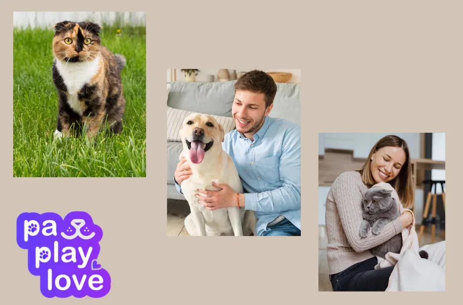 Top Free Dating Websites for Dogs to Find Your Pet’s Perfect Match Top Free Dating Websites for Dogs to Find Your Pet’s Perfect Match