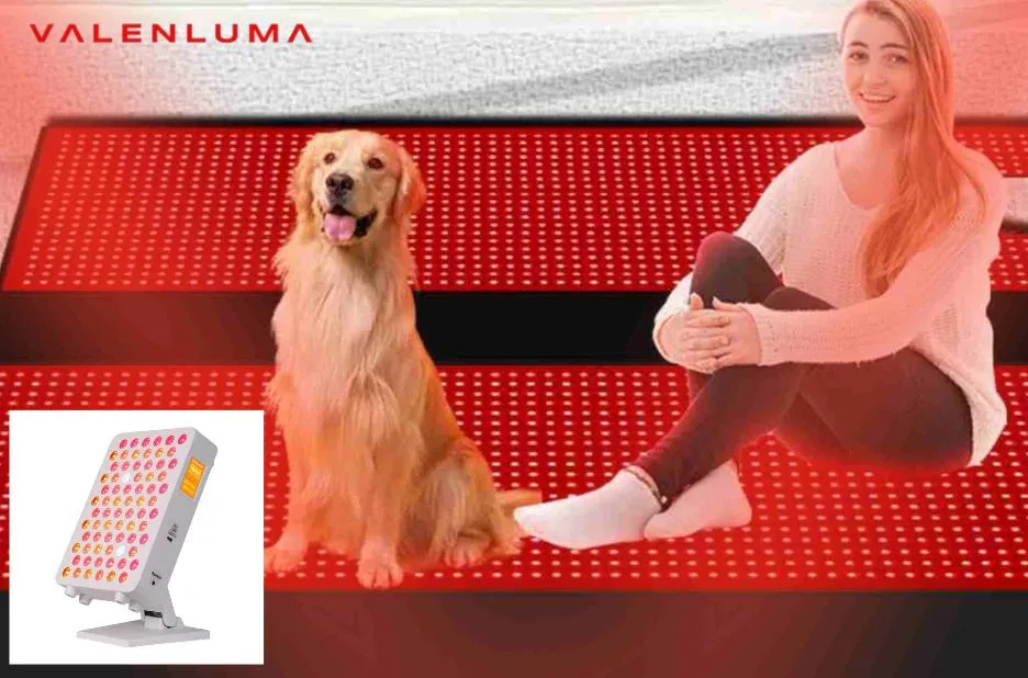 Infrared Sauna Blanket Benefits for Detox, Circulation, and Muscle Relaxation Infrared Sauna Blanket Benefits for Detox, Circulation, and Muscle Relaxation