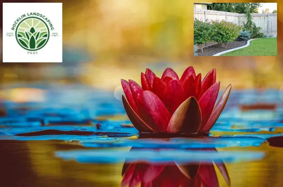 Expert Landscapers Rocklin | Transform Your Outdoor Space with RocklinLandscapingPros.com Expert Landscapers Rocklin | Transform Your Outdoor Space with RocklinLandscapingPros.com