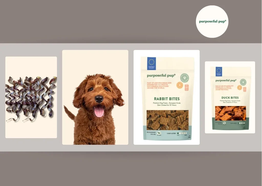 Purposeful Treat: Healthy, Nutritious Snacks for Your Dog’s Wellness