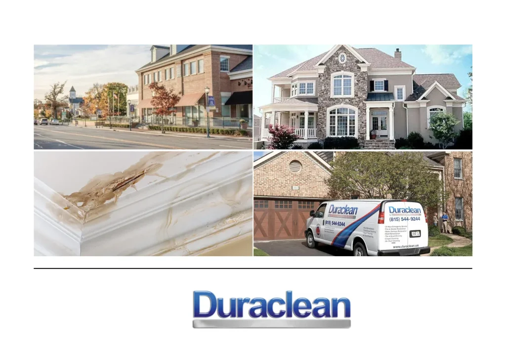 Top Upholstery Cleaning Lovespark Services for a Fresh and Healthy Home