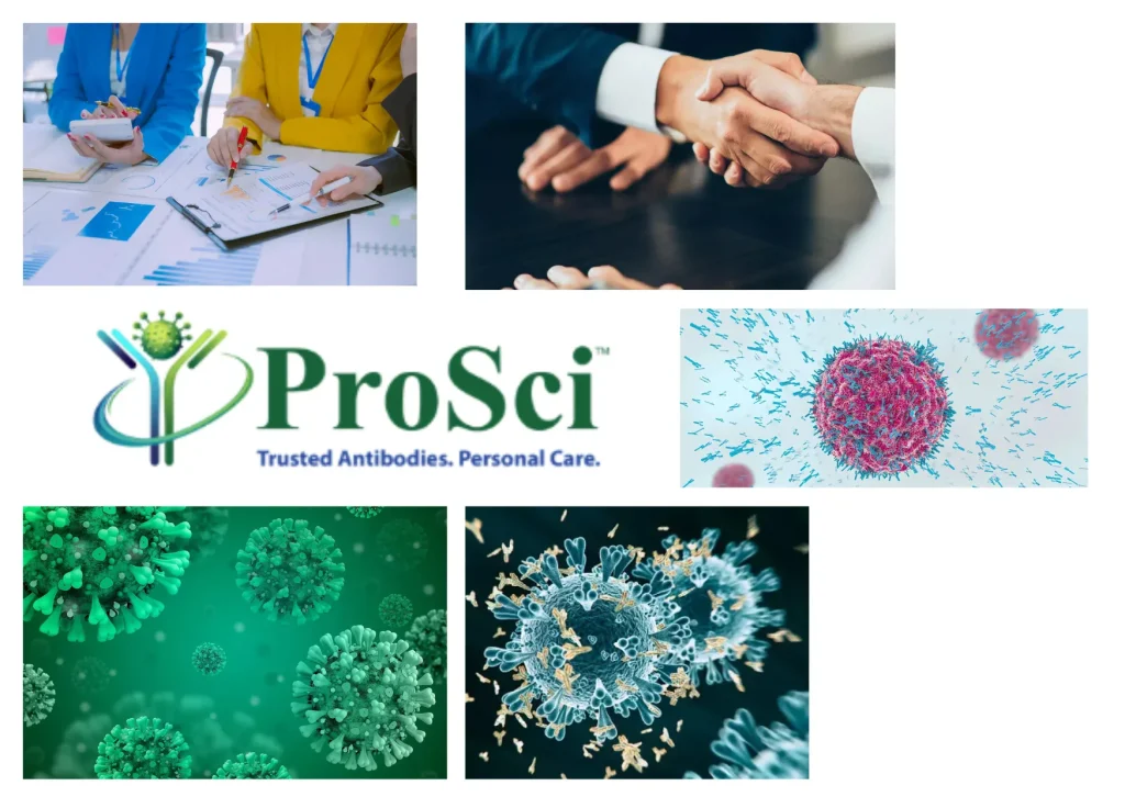Top Polyclonal Antibody Production Service for Reliable Research Reagents