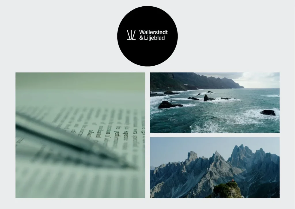 Expert Skatterådgivning för Företag – Maximera Din Ekonomiska Framgång