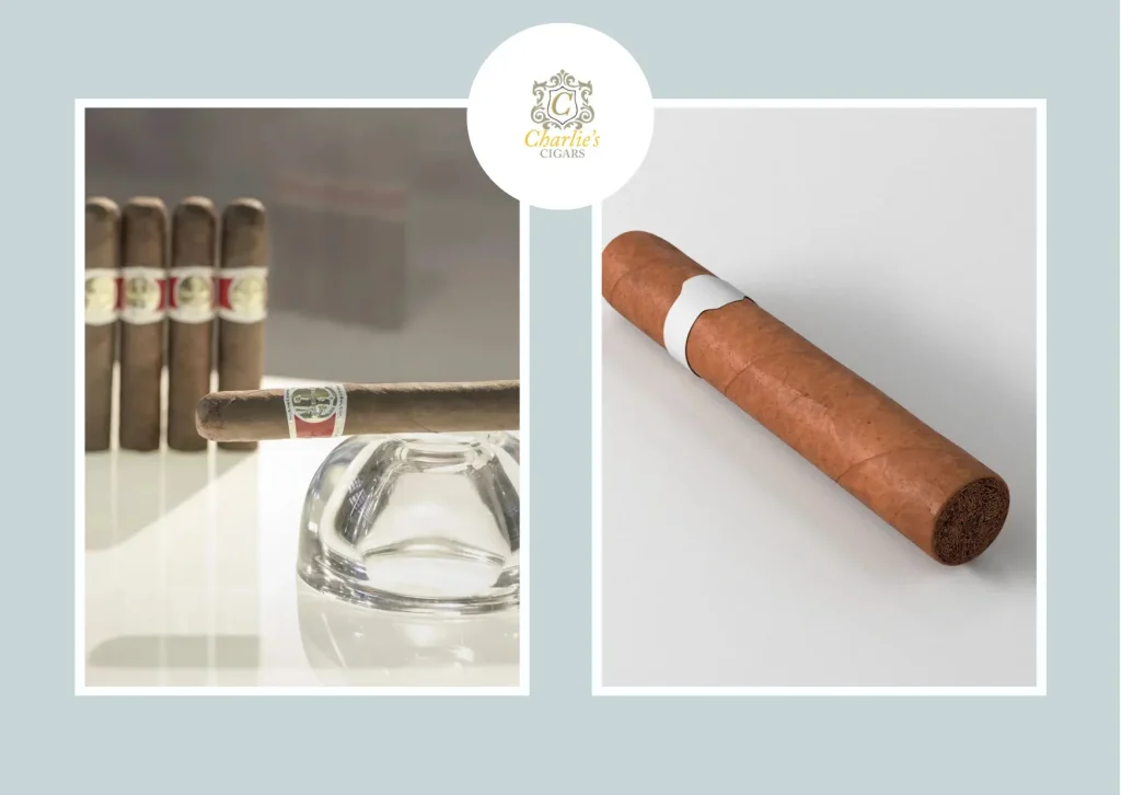 Top Cigar Brands in India: Discover Premium Cuban, Dominican, and Boutique Selections