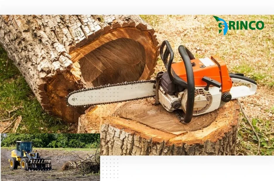 Expert Tree Removal Laverton Services for Safe and Efficient Property Care Expert Tree Removal Laverton Services for Safe and Efficient Property Care