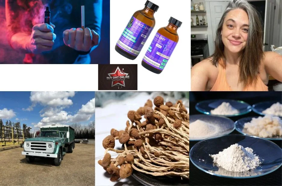 Buy High-Quality NN DMT for Sale with Secure Checkout and Discreet Delivery Buy High-Quality NN DMT for Sale with Secure Checkout and Discreet Delivery