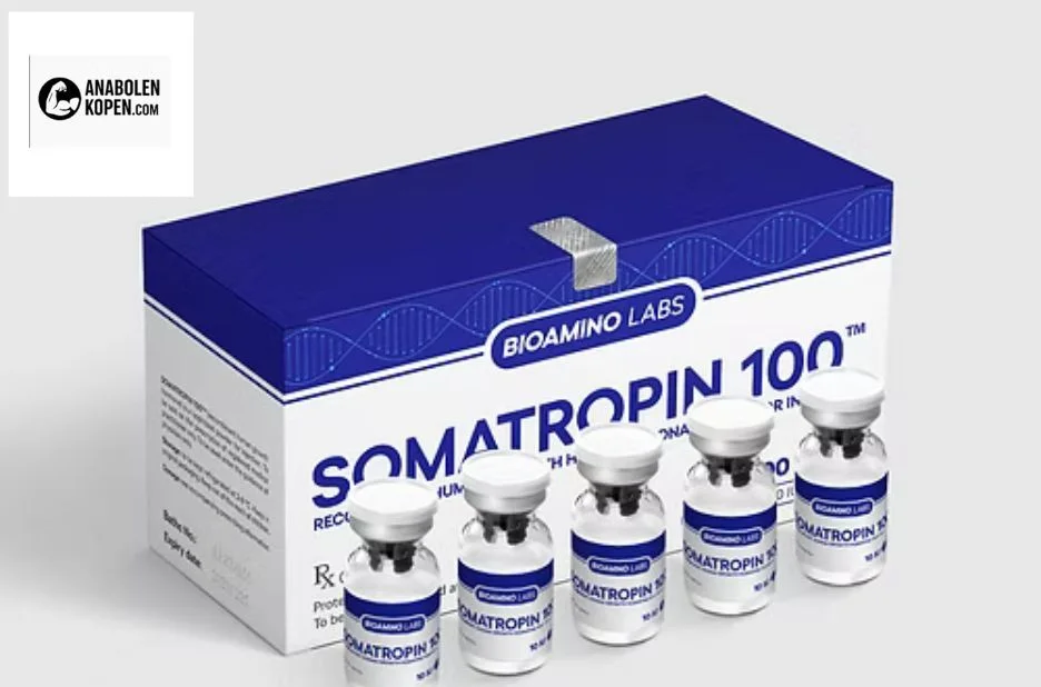 Winstrol kopen – Betrouwbare en hoogwaardige anabole supplementen voor optimale prestaties Winstrol kopen – Betrouwbare en hoogwaardige anabole supplementen voor optimale prestaties
