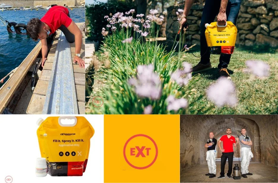 Effective DIY Pest Control Kits Malta for a Pest-Free Home Effective DIY Pest Control Kits Malta for a Pest-Free Home