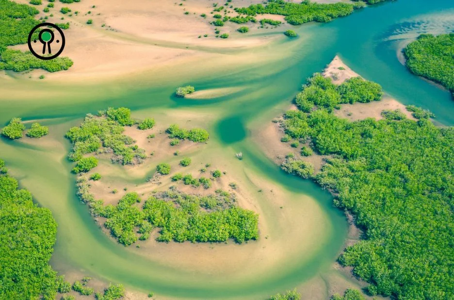 Acheter guide voyage Sénégal : conseils et destinations incontournables pour un séjour réussi Acheter guide voyage Sénégal : conseils et destinations incontournables pour un séjour réussi