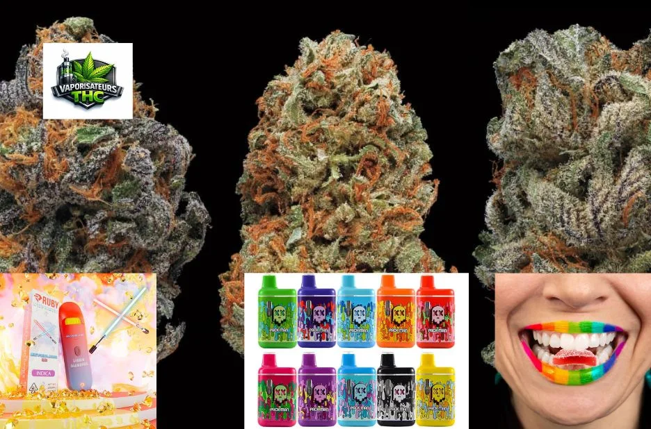 Acheter des Puffs THC : Guide Complet pour Choisir des Puffs de Qualité et Discrets Acheter des Puffs THC : Guide Complet pour Choisir des Puffs de Qualité et Discrets