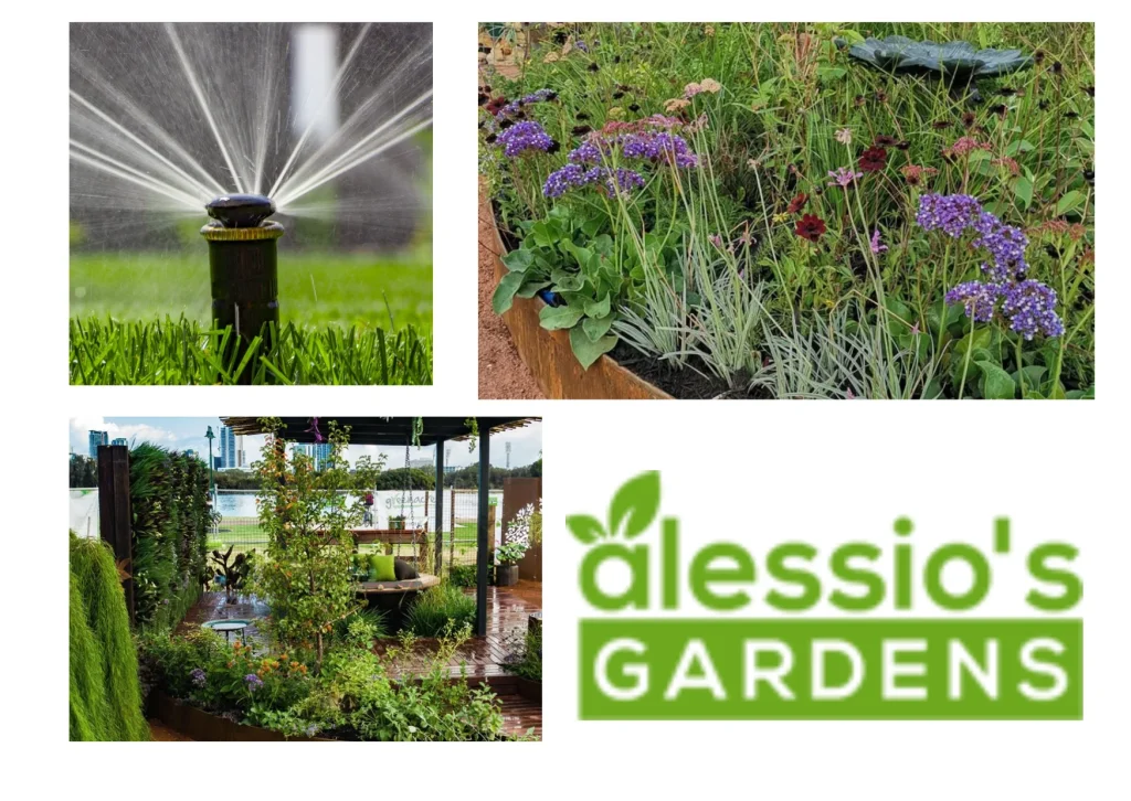 Top Plants for Around a Swimming Pool to Enhance Your Outdoor Space
