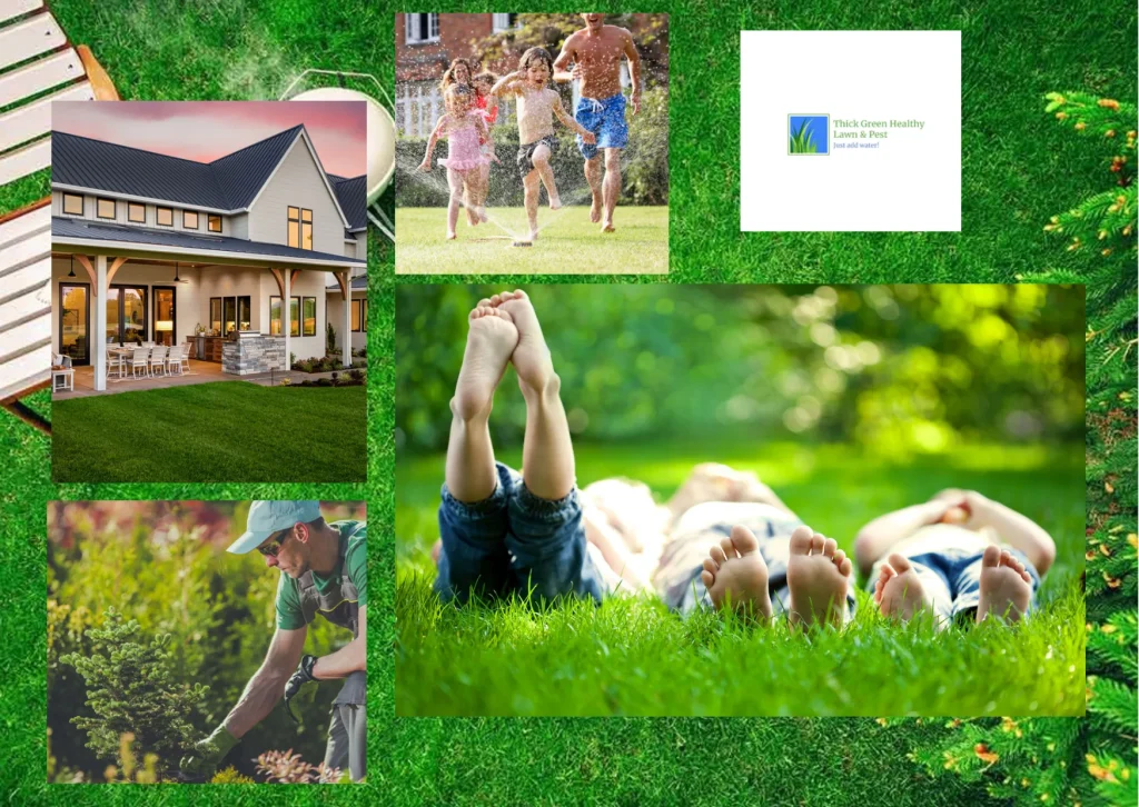 Effective Customized Lawn Fertilization Plans for a Healthier, Greener Yard