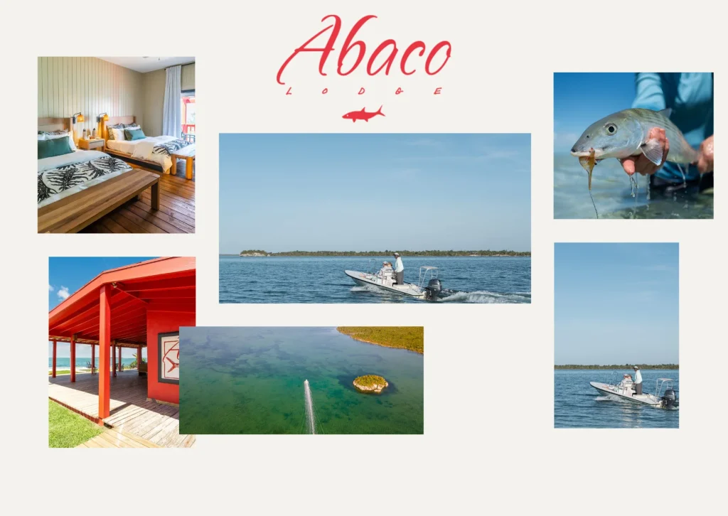 Best Bonefish Lodges in Bahamas for Unmatched Fishing and Luxury Stays