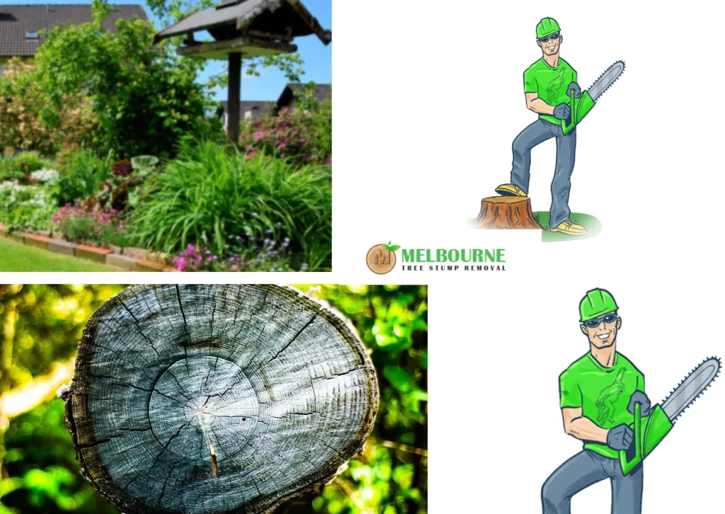 Professional Stump Removal Brighton Services for Cleaner Outdoor Spaces Professional Stump Removal Brighton Services for Cleaner Outdoor Spaces