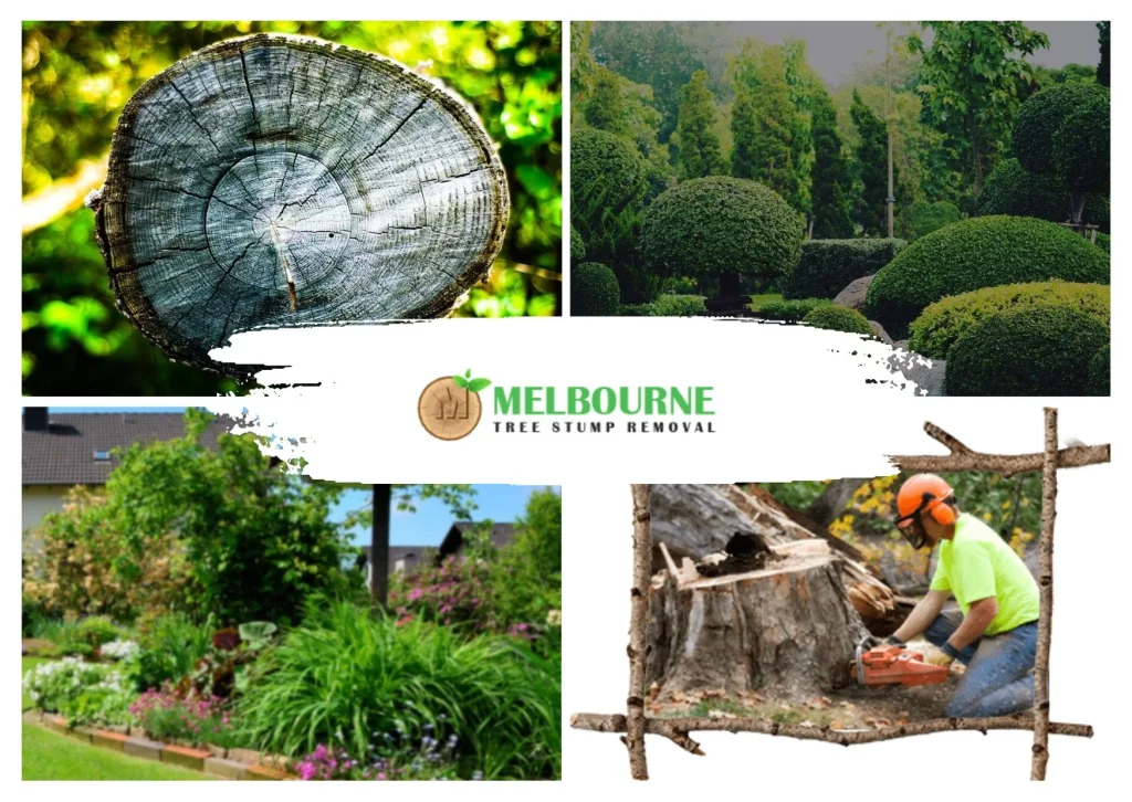 Professional Stump Removal Brighton Services for Cleaner, Safer Outdoor Spaces Professional Stump Removal Brighton Services for Cleaner, Safer Outdoor Spaces