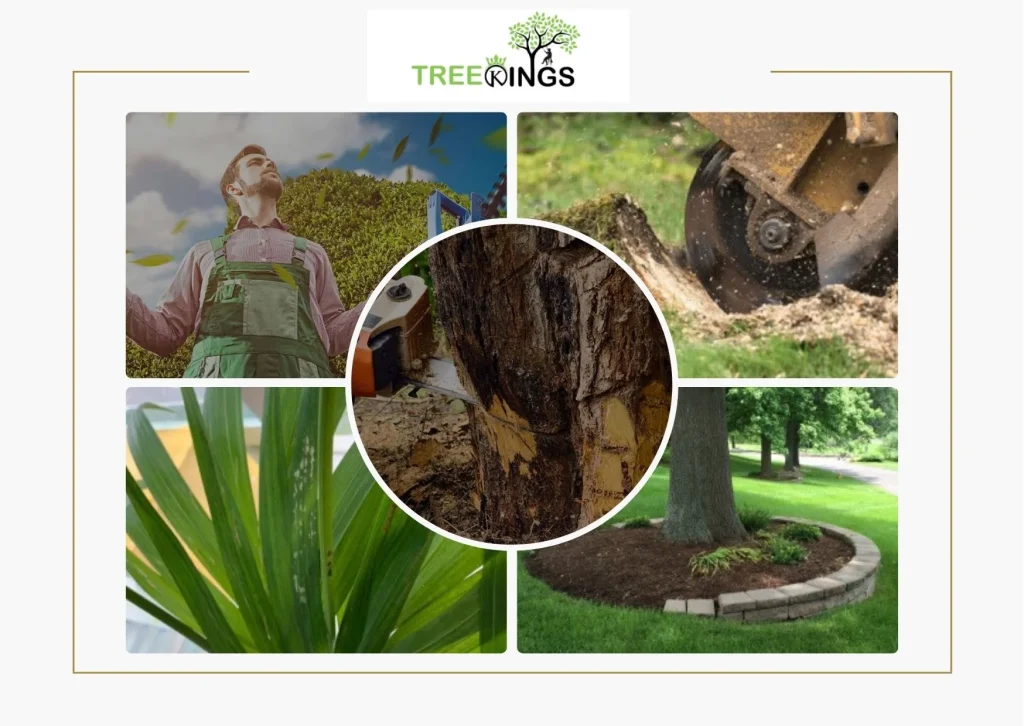 Professional Tree Removal Coburg Services for Safe and Affordable Property Care Professional Tree Removal Coburg Services for Safe and Affordable Property Care