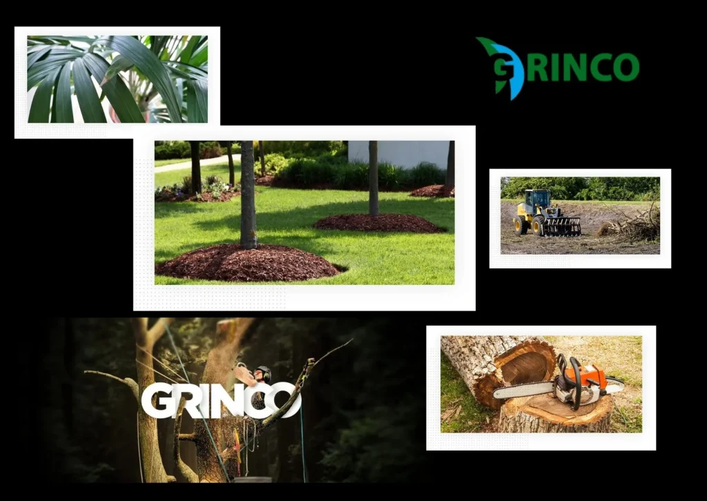 Expert Stump Removal Altona Services for Clean and Safe Gardens Expert Stump Removal Altona Services for Clean and Safe Gardens