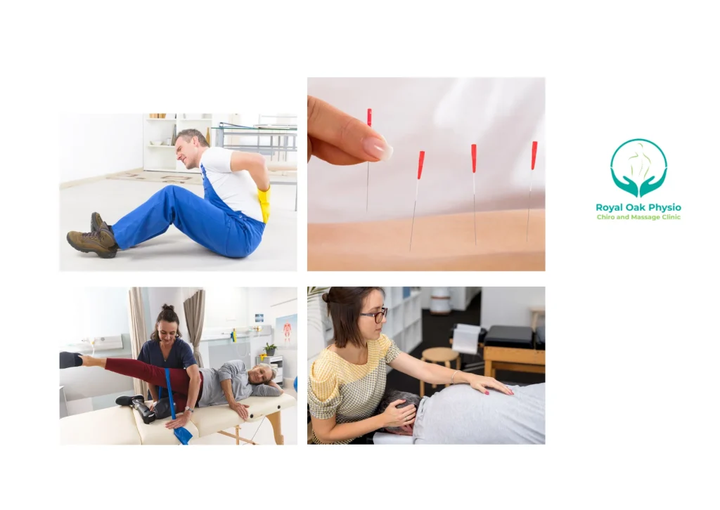 Expert Chiropractic Care in Royal Oak Calgary for Pain Relief and Wellness